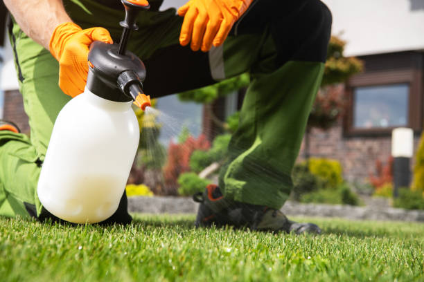 Best Exterminator Services  in Belterra, TX